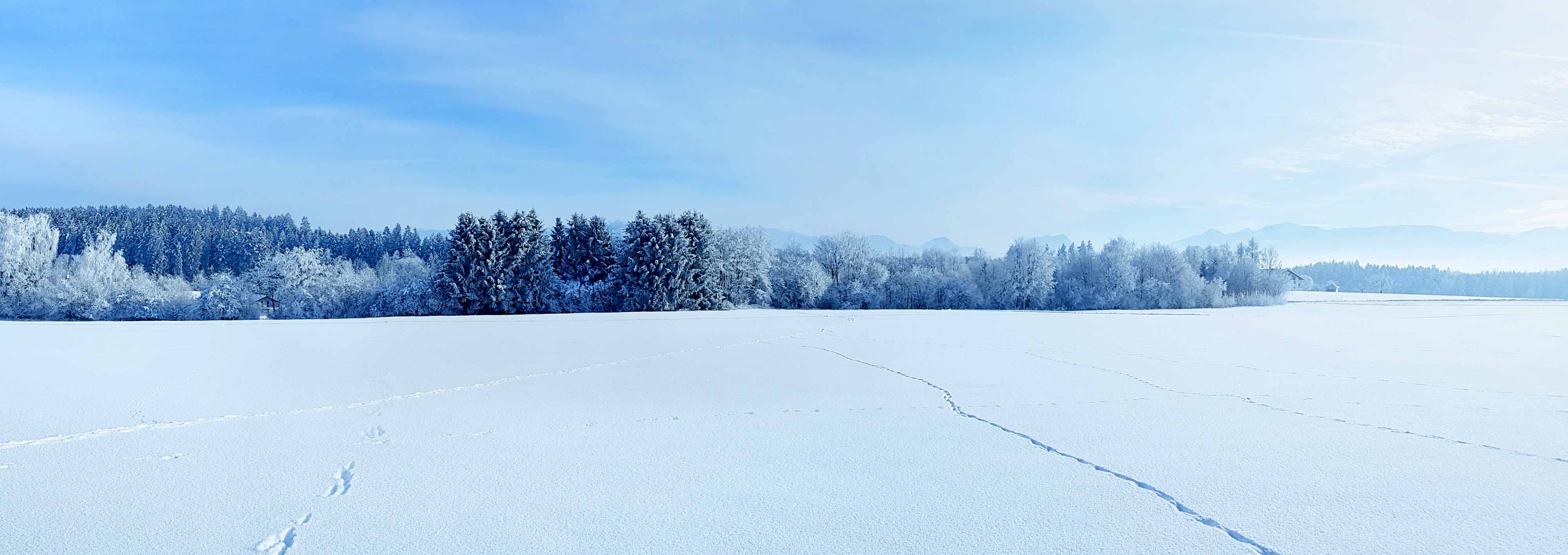Hintergrung Slider 2 Schnee